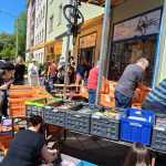 IMG-20250510-WA0008