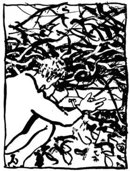 segno-24