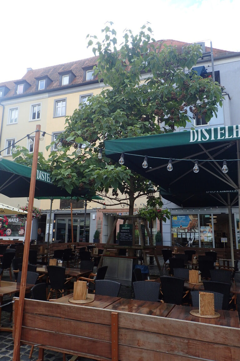 Wuerzburg020