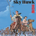 sky hawk